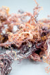 MOSS&More Raw Sea Moss - Wholesale